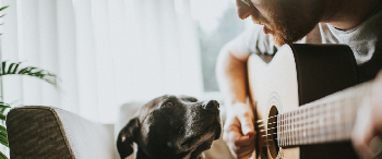 Man met gitaar en hond
