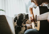 Man met gitaar en hond