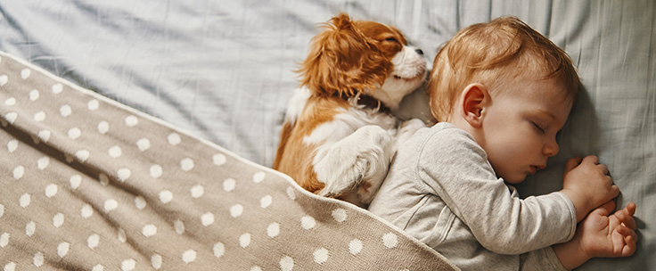 Baby ligt in bed met hondje