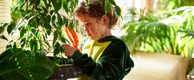 Kind onderzoekt plant