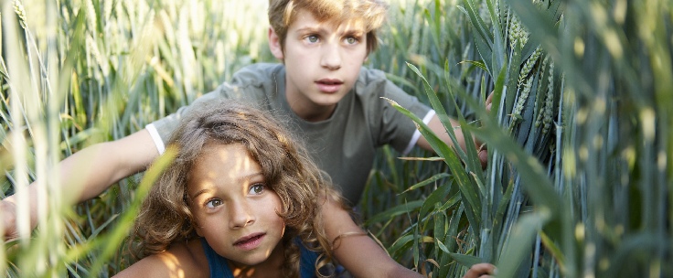 Kinderen spelen in maisveld