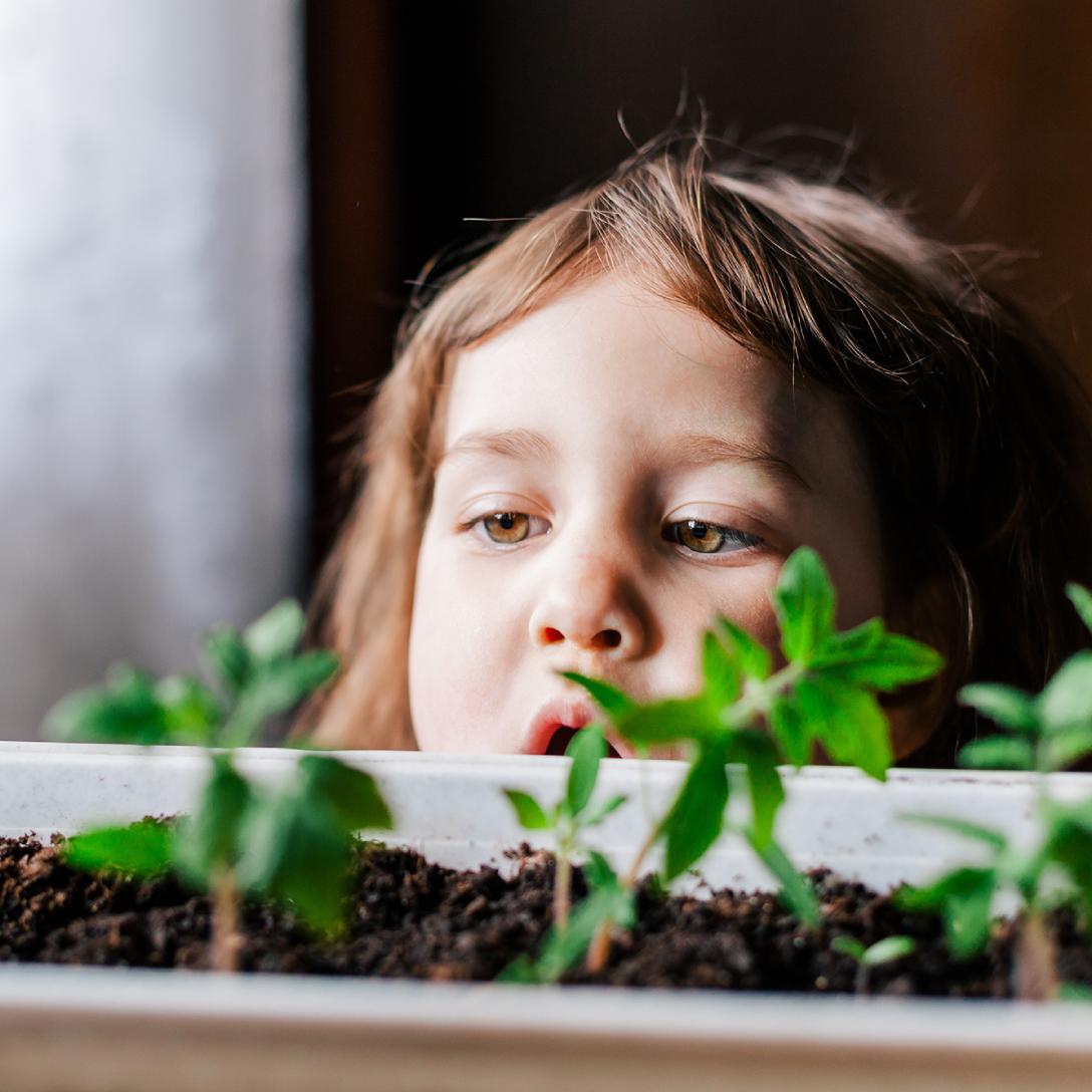 Beleid 2025 Zilveren Kruis